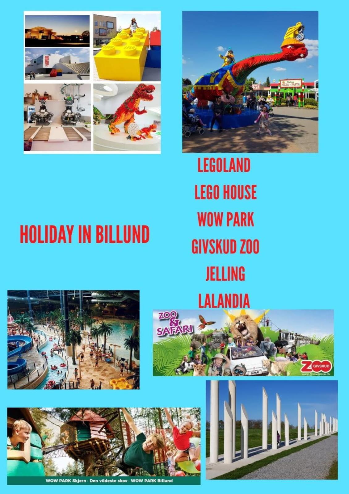 5 Minute Walk To Lego House - 50M2 Cozy Apartment- D Unit بيلوند المظهر الخارجي الصورة
